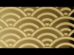 Gold-Rose-Gold-Spiegel 304 mit Ätzer-Edelstahlblech