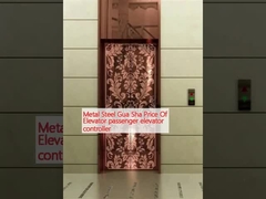 Metall Stahl Gua Sha Preis des Fahrgastliftleiters