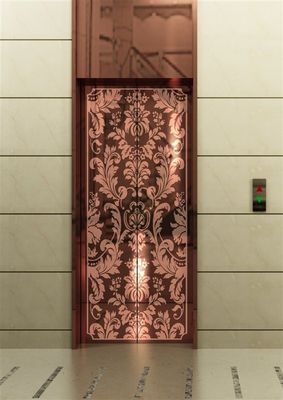 Guter Preis Metall Stahl Gua Sha Preis des Fahrgastliftleiters Online